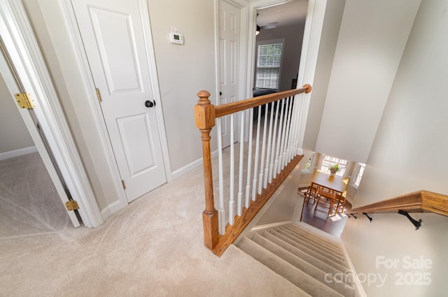600 Capella Ct, Gastonia, NC 28056 - stairs featuring carpet floors and baseboards