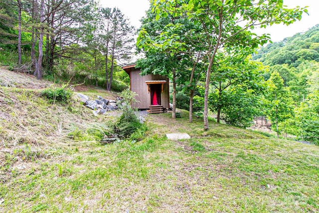 1146 Thomas Branch Rd, Marshall, NC 28753 - view of yard featuring an outbuilding