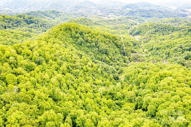 1146 Thomas Branch Rd, Marshall, NC 28753 - aerial view of a forest