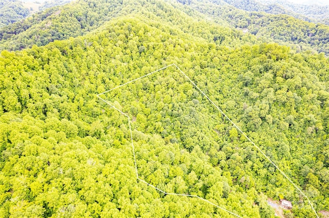 1146 Thomas Branch Rd, Marshall, NC 28753 - aerial view of property's location featuring a heavily wooded area and property parcel outlined