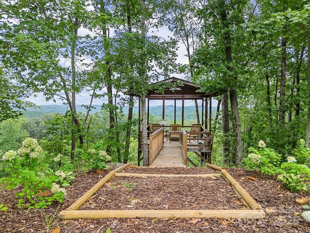 192 Shady Ln, Mill Spring, NC 28756 - view of community with a gazebo