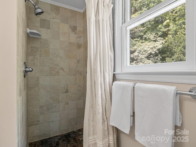 266 Case St, Columbus, NC 28722 - photo 21