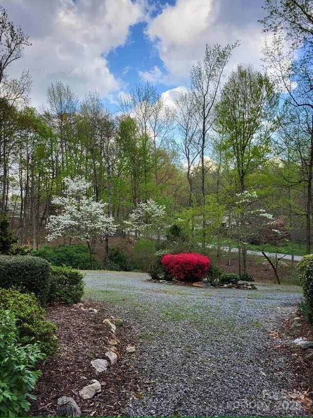 266 Case St, Columbus, NC 28722 - photo 34