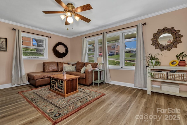 53 Belmont St, Canton, NC 28716 - photo 6