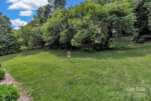 53 Belmont St, Canton, NC 28716 - photo 31