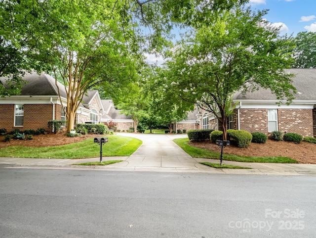 10875 Casetta Dr, Matthews, NC 28105 - view of property hidden behind natural elements with brick siding, driveway, and roof with shingles