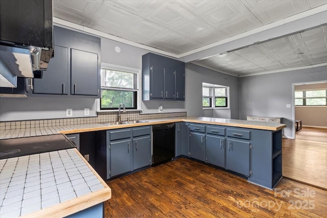 935 Church St, Kings Mountain, NC 28086 - kitchen featuring dishwasher, an ornate ceiling, a sink, blue cabinetry, and dark wood-style floors