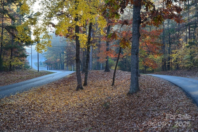 248 Pioneer Dr, Mount Gilead, NC 27306 - view of street