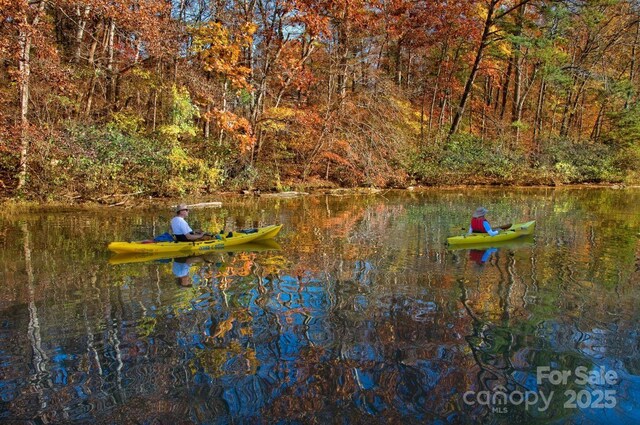 248 Pioneer Dr, Mount Gilead, NC 27306 - water view with a forest