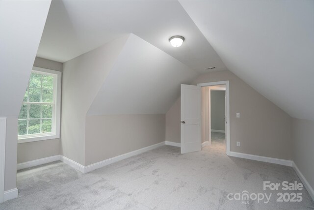 248 Pioneer Dr, Mount Gilead, NC 27306 - bonus room featuring carpet flooring and lofted ceiling