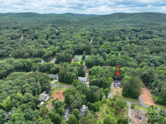248 Pioneer Dr, Mount Gilead, NC 27306 - drone / aerial view of a heavily wooded area