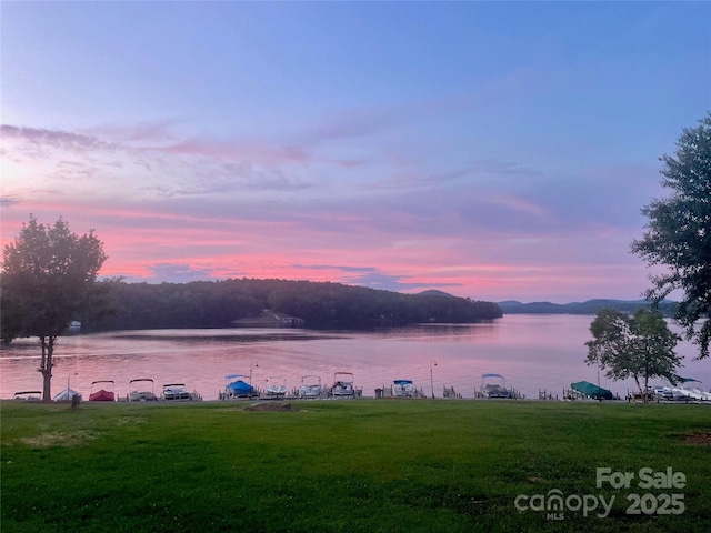 248 Pioneer Dr, Mount Gilead, NC 27306 - water view