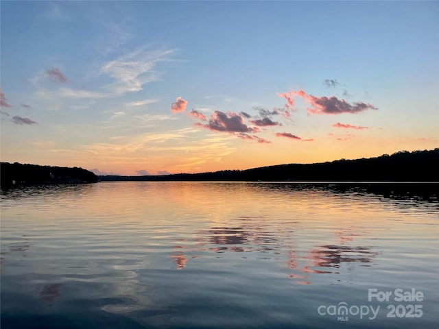 248 Pioneer Dr, Mount Gilead, NC 27306 - water view