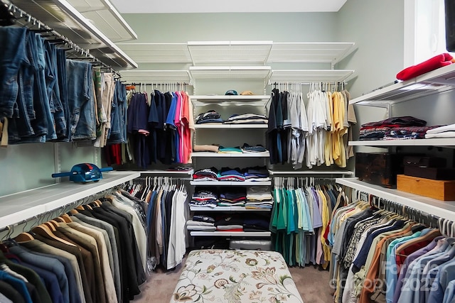2354 Valelake Rd, York, SC 29745 - spacious closet featuring carpet