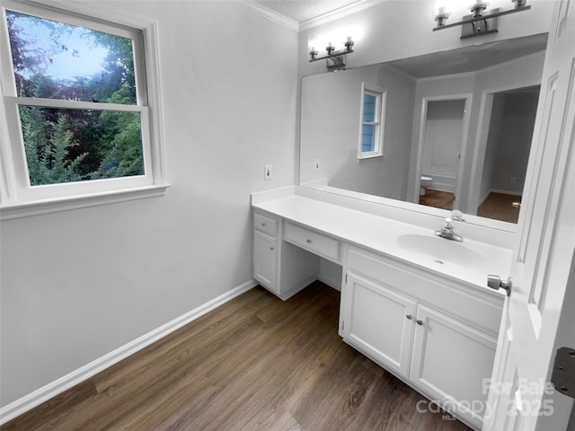 124 Creek Hollow Trl, Belmont, NC 28012 - bathroom featuring ornamental molding, wood finished floors, vanity, healthy amount of natural light, and baseboards