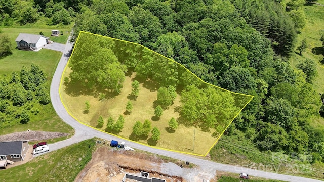 280 Split Pine Cv, Clyde, NC 28721
