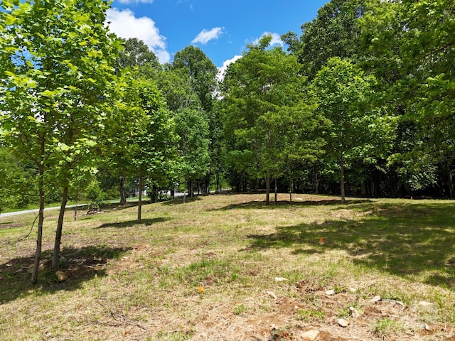 280 Split Pine Cv, Clyde, NC 28721