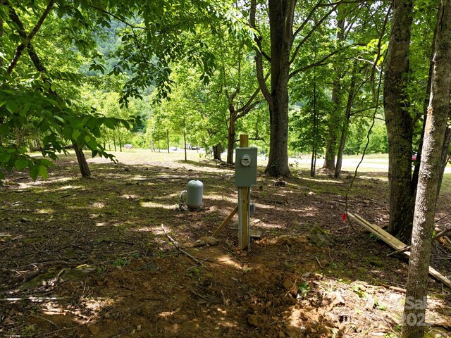 280 Split Pine Cv, Clyde, NC 28721