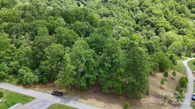 280 Split Pine Cv, Clyde, NC 28721
