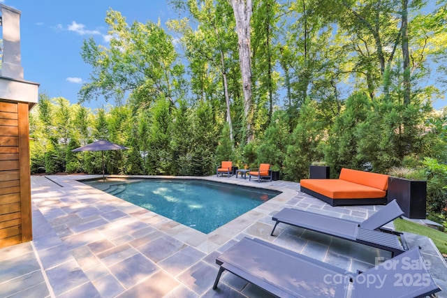 4211 Tangle Dr, Charlotte, NC 28211 - outdoor pool with a patio area