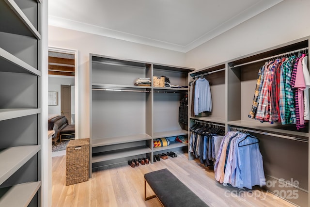 4211 Tangle Dr, Charlotte, NC 28211 - walk in closet with wood finished floors