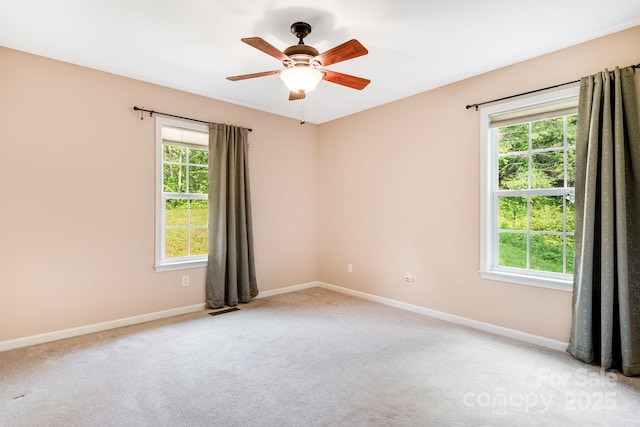 18 Sunberry Dr, Alexander, NC 28701 - photo 22