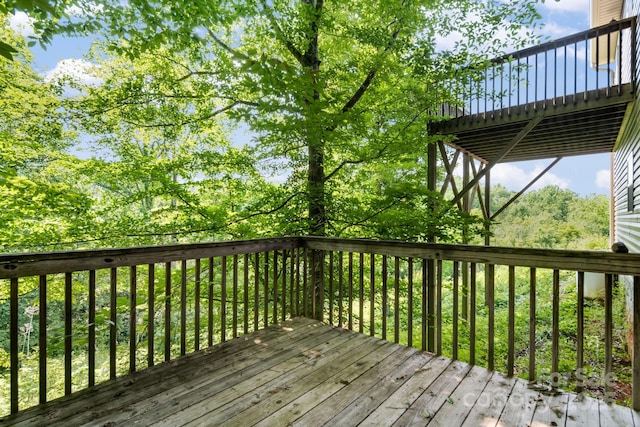 18 Sunberry Dr, Alexander, NC 28701 - photo 30
