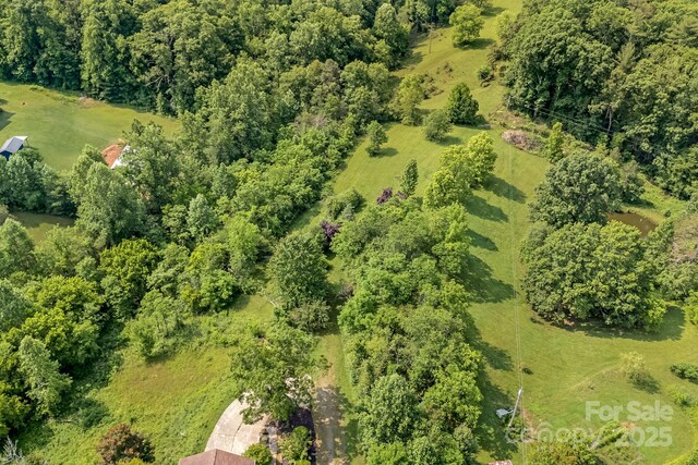 18 Sunberry Dr, Alexander, NC 28701 - photo 36