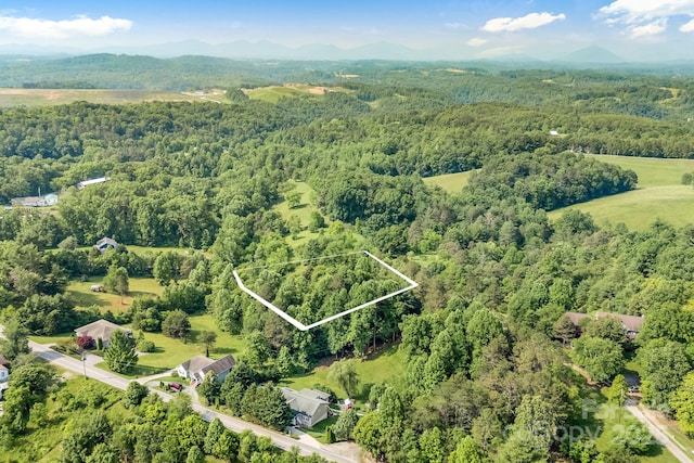 18 Sunberry Dr, Alexander, NC 28701 - photo 40