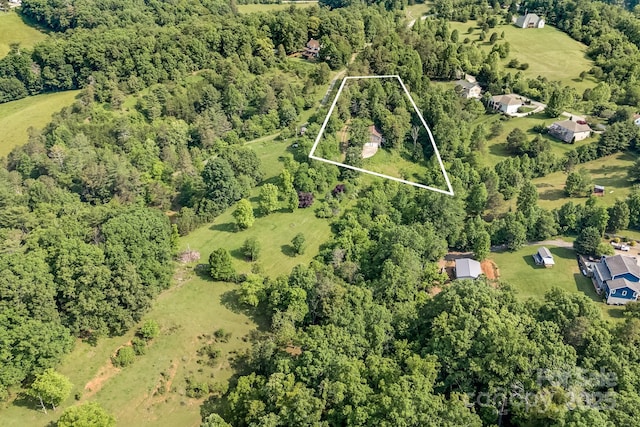 18 Sunberry Dr, Alexander, NC 28701 - photo 42
