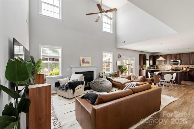 197 Roanoke Rd, Fletcher, NC 28732 - living room with light wood finished floors, a towering ceiling, a ceiling fan, and a glass covered fireplace