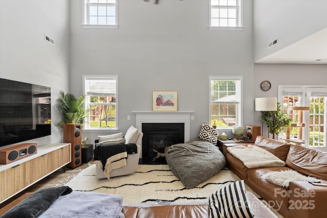 197 Roanoke Rd, Fletcher, NC 28732 - living area featuring a glass covered fireplace, plenty of natural light, a towering ceiling, and wood finished floors