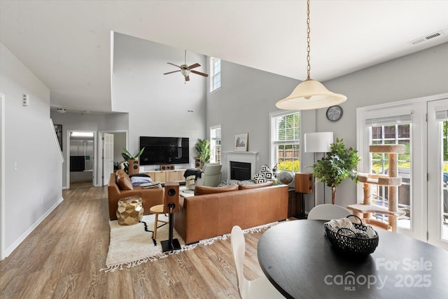 197 Roanoke Rd, Fletcher, NC 28732 - living room featuring wood finished floors, a ceiling fan, a fireplace, and baseboards