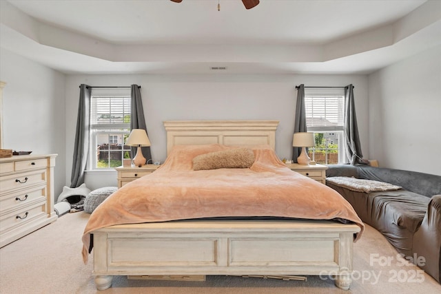 197 Roanoke Rd, Fletcher, NC 28732 - bedroom featuring light carpet, a raised ceiling, and ceiling fan