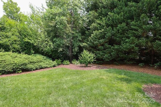 1103 Mapesbury Ln, Waxhaw, NC 28173 - view of green lawn