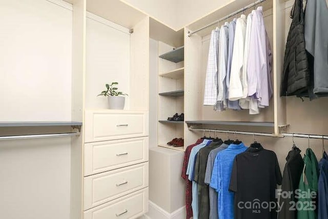 1103 Mapesbury Ln, Waxhaw, NC 28173 - view of spacious closet