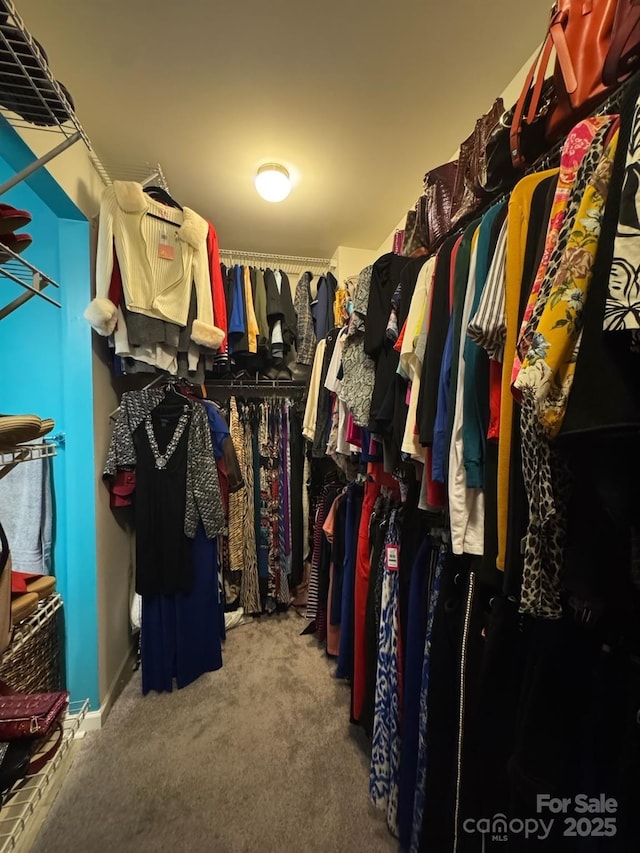 11225 Island View Ln, Lancaster, SC 29720 - spacious closet featuring carpet floors