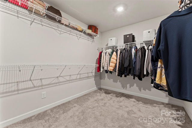 12536 Stoneybrook Pkwy, Huntersville, NC 28078 - photo 24