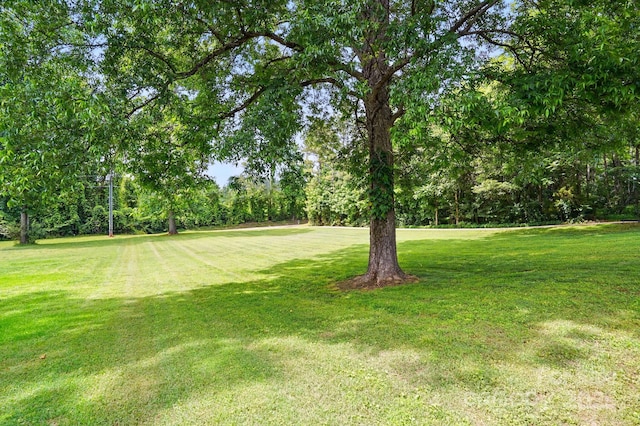 1621 California Rd, York, SC 29745 - photo 4