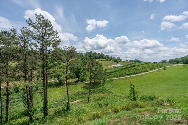 233 Westridge Farm Rd Unit 23, Asheville, NC 28804 - photo 44
