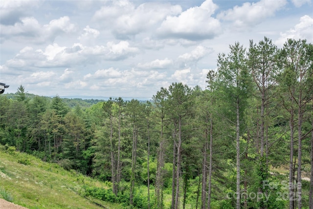 233 Westridge Farm Rd Unit 23, Asheville, NC 28804 - photo 45