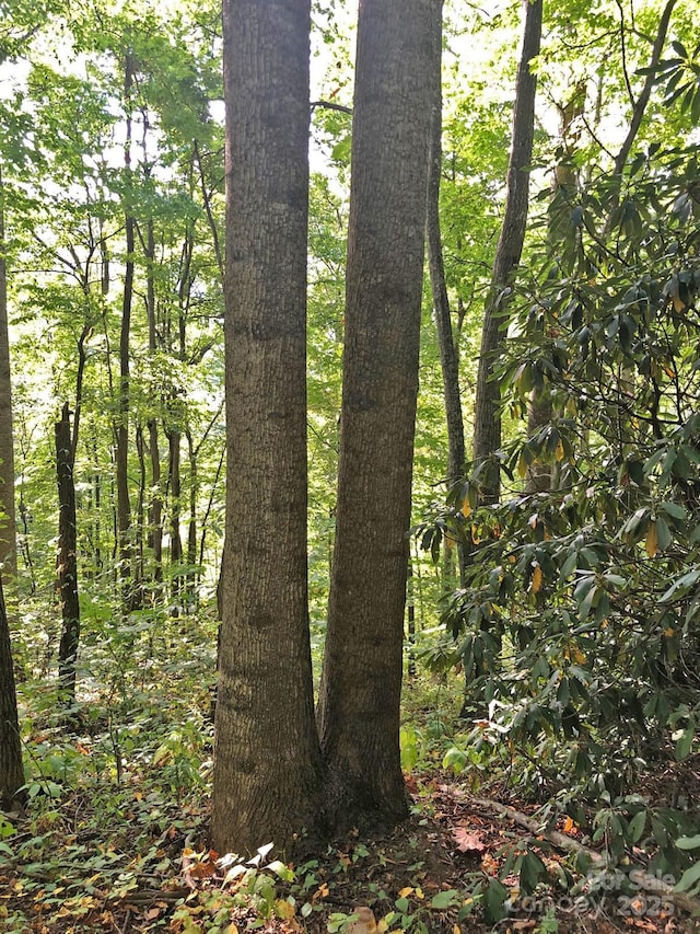 112 Grouse Rd, Clyde, NC 28721