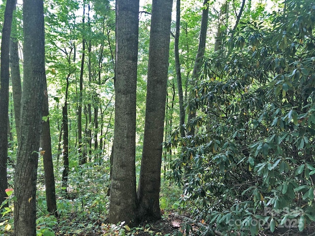 112 Grouse Rd, Clyde, NC 28721