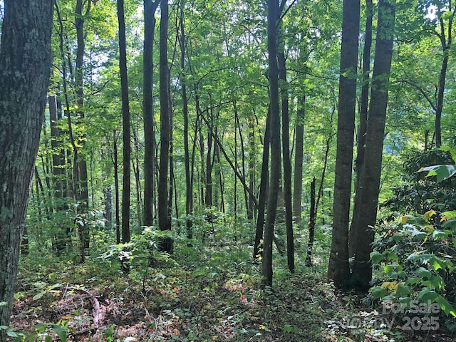 112 Grouse Rd, Clyde, NC 28721