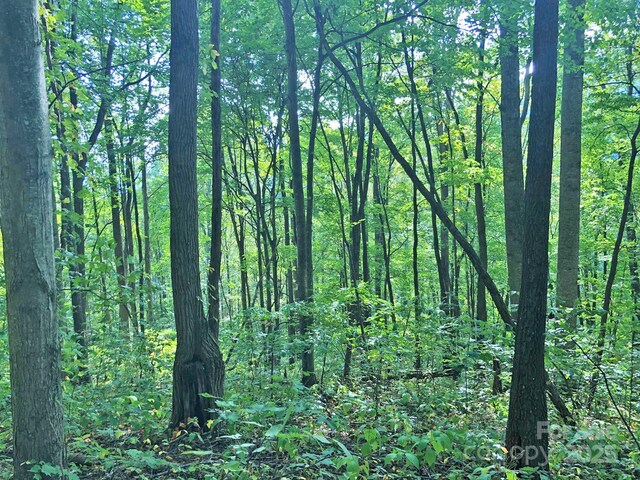 112 Grouse Rd, Clyde, NC 28721