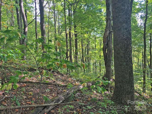 112 Grouse Rd, Clyde, NC 28721