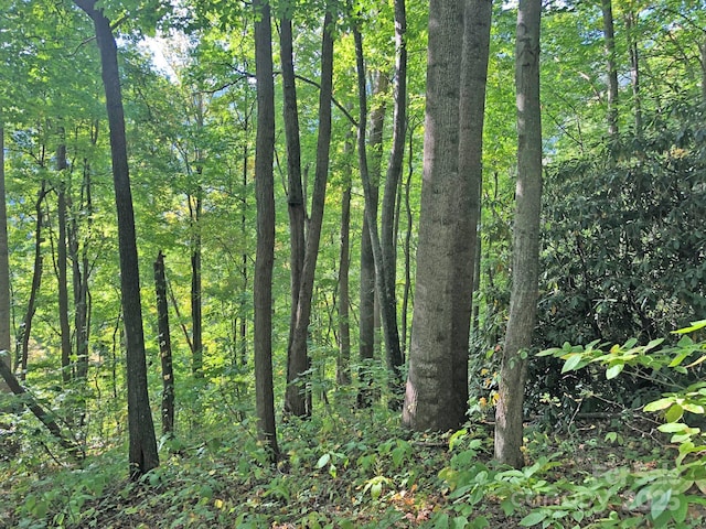 112 Grouse Rd, Clyde, NC 28721
