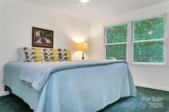 500 Cheestoonaya Way, Brevard, NC 28712 - bedroom with carpet floors and baseboards