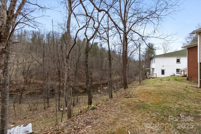 2599/2611 Old Mars Hill Hwy, Weaverville, NC 28787 - view of yard