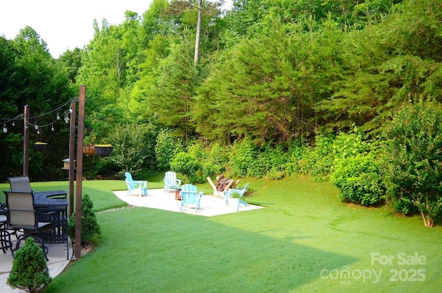 7170 Kenyon Dr, Denver, NC 28037 - view of grassy yard featuring a patio and an outdoor fire pit